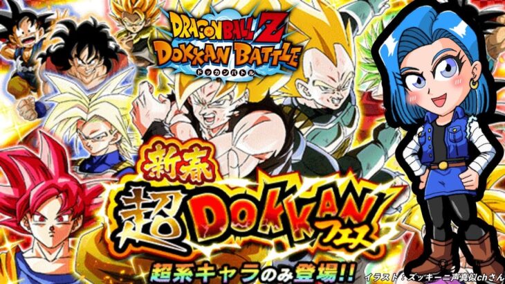 ドラゴンボールドッカンバトル 新春超DOKKANフェス