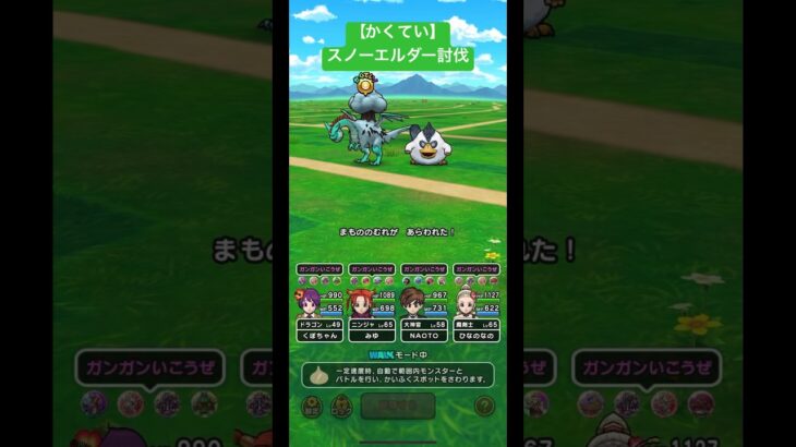 ドラクエウォーク【かくてい】スノーエルダー討伐‼️【ドラゴンクエストウォーク】【DQW】