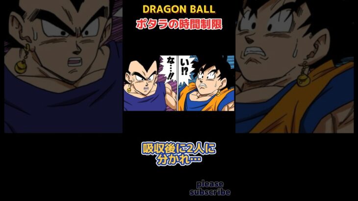 【DRAGON BALL】ドラゴンボール小ネタ PART27 ポタラの時間制限【ドラゴンボール】