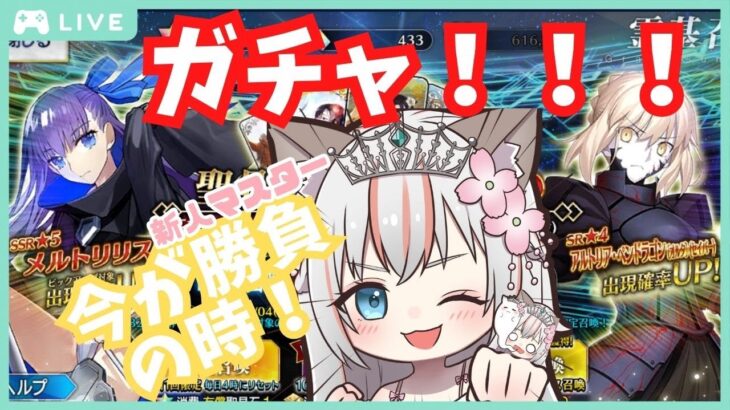 【 FGO 】新人マスター勝負に出ますっ！ 黒セイバーさんを引くのよっ！ニューイヤー2024  #Fate/Grand Order #新人マスター