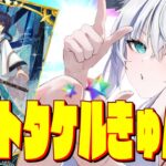 【FGO】ヤ　マ　ト　タ　ケ　ル　き　ゅ　ん　。　【ホロライブ/白上フブキ】