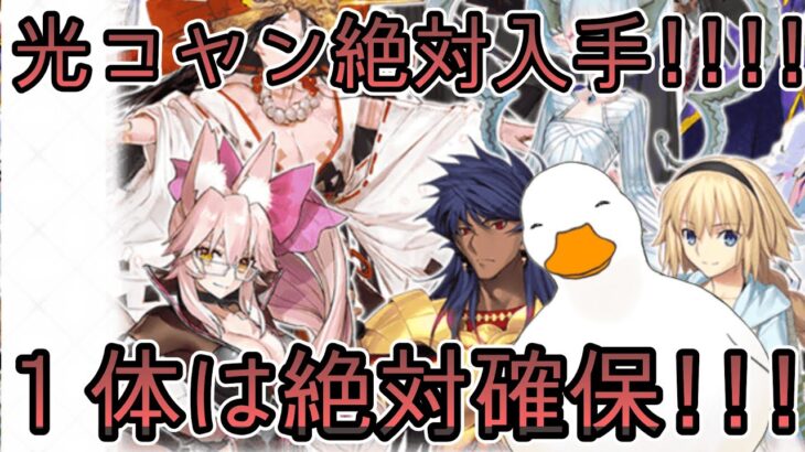 【FGO】全ての光コヤンを狙う者たちへ【初見プレイ】【Vtuber】【概要欄必読】