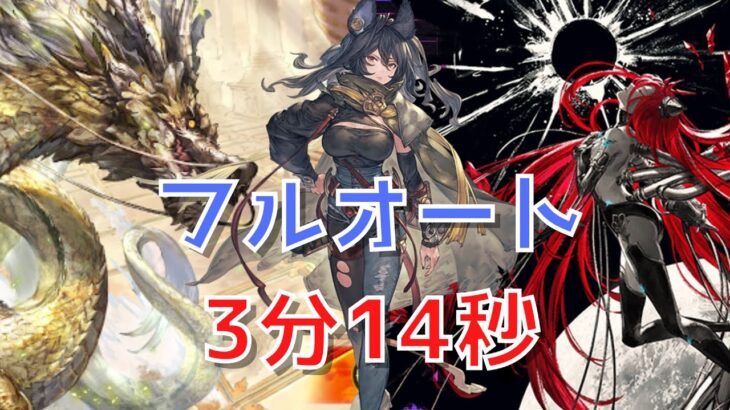 【グラブル】ルオーHL フルオート 2024年版【3分14秒】