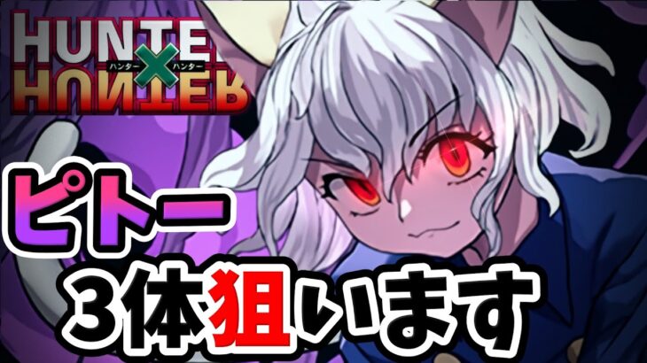 【HUNTER×HUNTERコラボ】ピトー狙ったら神引きでした！！【パズドラ】