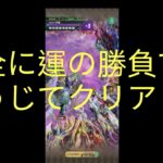 【ロマサガRS】夢想の死闘-弦魔-(ロマンシング)のクリア動画