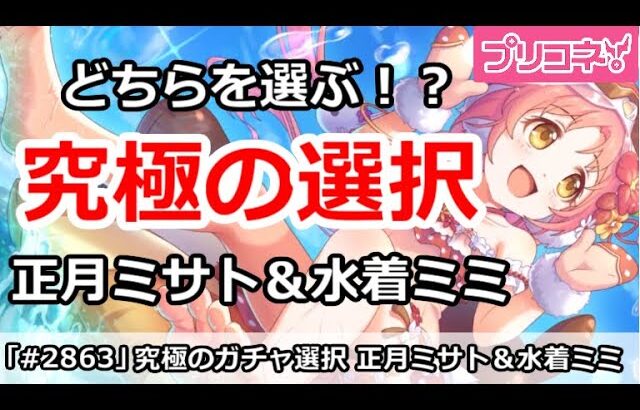 【プリコネ】どちらを選ぶ！？究極の選択、正月ミサトVS水着ミミ【プリンセスコネクト！】