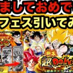 【ドッカンバトル】新春Wドッカンフェス引いてみた！【Dragon Ball Z Dokkan Battle】