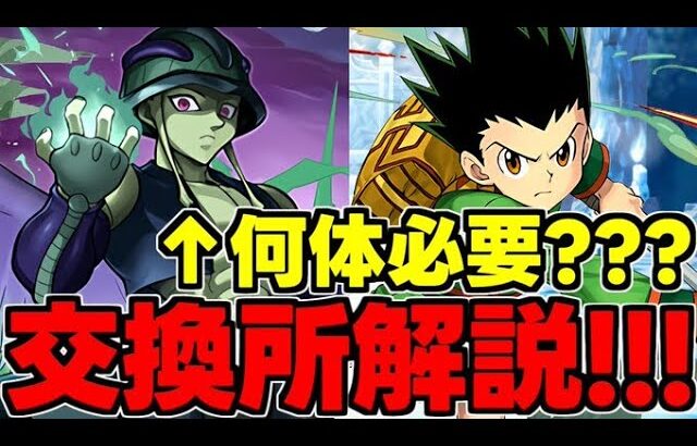 【交換所解説】結局メルエムは何体必要？ゴンは取るべき？ゼノ＆シルバは？使い道＆性能完全解説！【パズドラ】