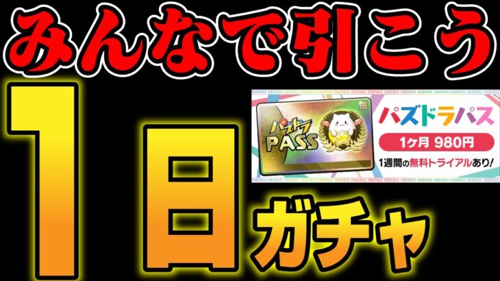 🔴【みんなで1日ガチャ】1月もありがとうございました【パズドラ雑談配信】 #パズドラ