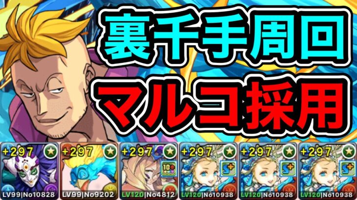 【パズドラ】マルコ採用！全敵対応！裏未知の新星！裏蒼穹の千龍 ！1周10~11分台！ほぼずらし！ノアループ！玉壺×ノア編成で安定周回！【裏千手】【概要欄に立ち回りなど記載】