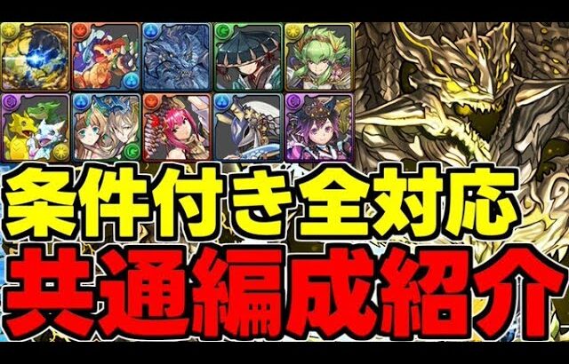 【超重力ドラゴンラッシュ1】条件付き全対応共通編成紹介！魔法石25個と黒メダル5枚を手に入れよう！龍称号も楽々獲得！アグリゲート自陣2枚共通編成代用＆立ち回り解説！【パズドラ】