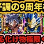 【ドッカンバトル】今のところ大成功‼9周年で極限しそうなキャラまとめて紹介してみた‼︎ 【Dragon Ball Z Dokkan Battle】