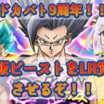 【ドッカンバトル】祝9周年💛悟飯ビーストLR覚醒させるぞ！ 完全初見 ＜DOKKAN ドラゴンボールZ アプリ＞【どみプロ/天瀬みか】