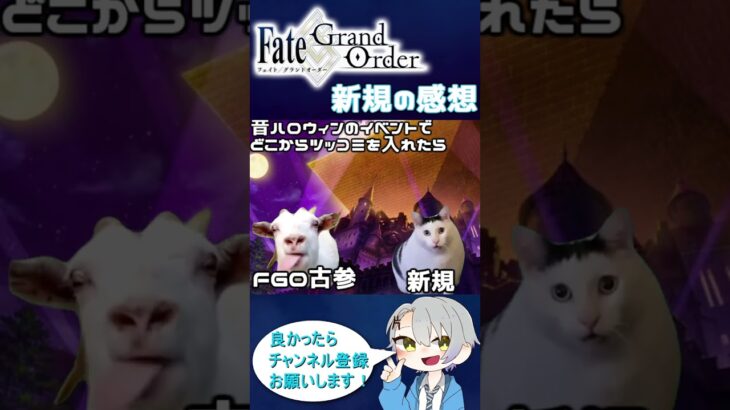 【FGO】 FGO新規の猫ミーム #huhcat #shorts #猫ミーム  #fgo #vtuber #fgo配信  #猫meme