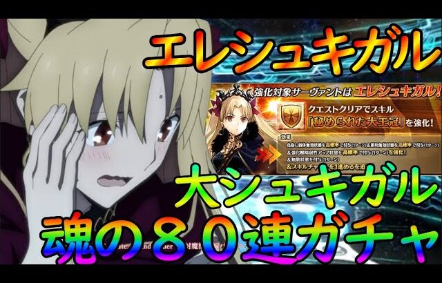 【FGO】大好きなエレシュキガルをお迎えしたい８０連ガチャ＆強化情報チェック！【#個人vtuber 】