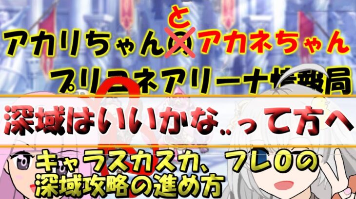 【プリコネR】深域はいいかな..って萎えた方へ【バリーナ】【プリーナ】