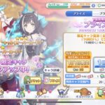 【プリコネR】6周年無料10連9日目【プリンセスコネクトRe:Dive】