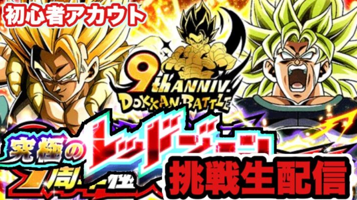 ドッカンバトルSF生配信＃13 初心者垢レッドゾーン挑戦LIVE  #ドラゴンボール #ドッカンバトル