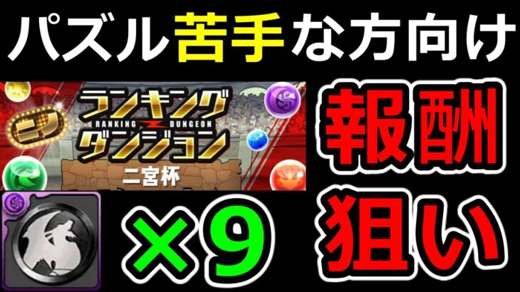 【パズル苦手な方必見！】黒メダル大量ゲット！二宮杯の報酬狙い立ち回り解説！ランダン【パズドラ】