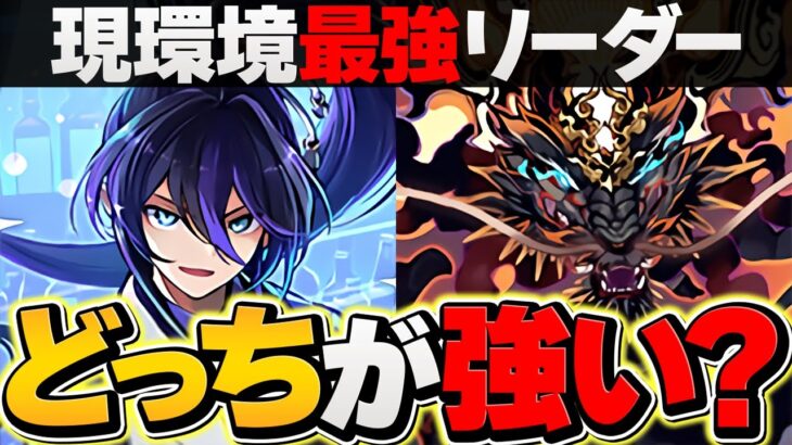 ゴウテンvsクロトビ 環境最強リーダーはどっち！？性能比較解説！！【パズドラ】