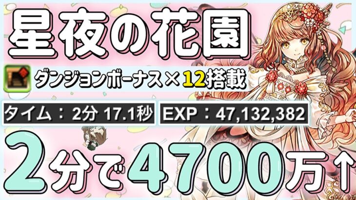 【パズドラ】星夜の花園！ダンボ12搭載！2分でランク経験値4700万以上周回編成の紹介！