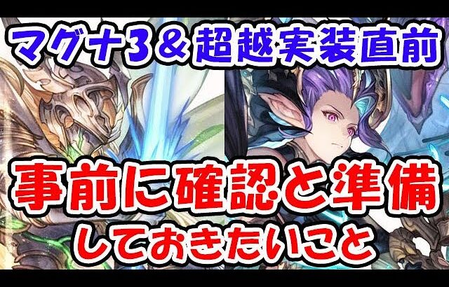 【グラブル】マグナ3 ＆ マグナ限界超越 実装直前！ 事前に確認と準備しておきたいこと（ティアマト・アウラマグナ）（シュヴァリエ・クレドマグナ）「グランブルーファンタジー」