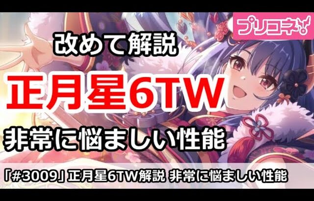 【プリコネ】星6正月TW組を改めて解説！非常に悩ましい性能・・・【プリンセスコネクト！】