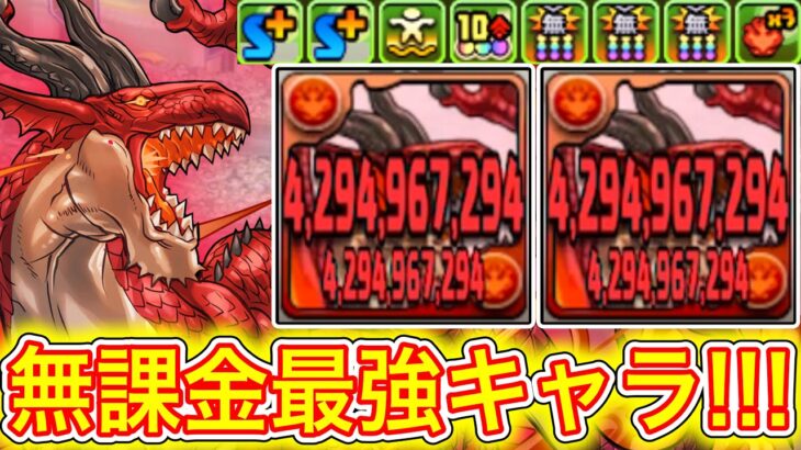 【最強】上方修正した『DDドラゴン』が無課金キャラなのに破格の性能でやばすぎる！！！ 【パズドラ ドラゴンズドグマ コラボ】