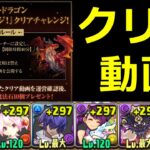 【極悪チャレンジ】DDドラゴン×ゴウテンでクリア！極悪生命体【パズドラ】