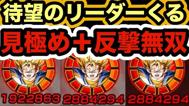 【ドッカンバトル】遂に最高のリーダーがくるLR超ベジットがヤバすぎる‼︎ 【Dragon Ball Z Dokkan Battle】