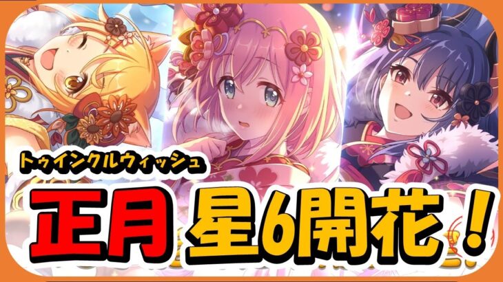 【プリコネ】星６登場！正月トゥインクルウィッシュ【プリコネR】【解説】