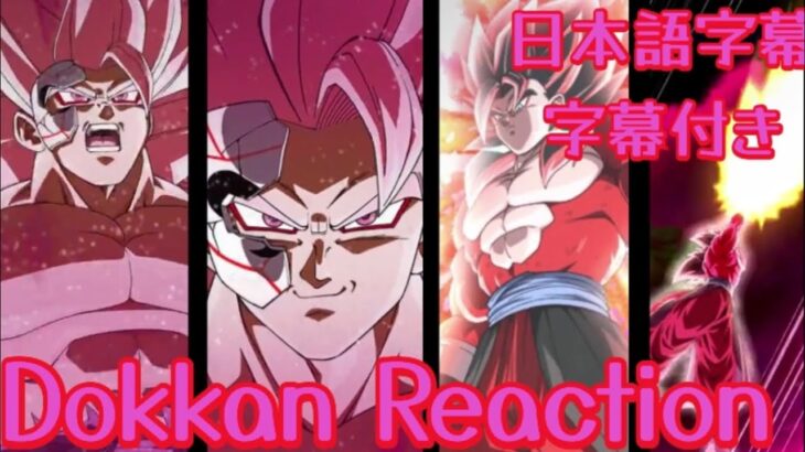 ドッカンバトル UR SSJ3ロゼ&SSJ4ベジット リアクション Dokkan UR SSJ3Rose&SSJ4Vegito Reaction 海外の反応