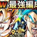 『Wベジット』最強編成！！極限LRベジット！！ドカバト9周年【ドッカンバトル】【地球育ちのげるし】