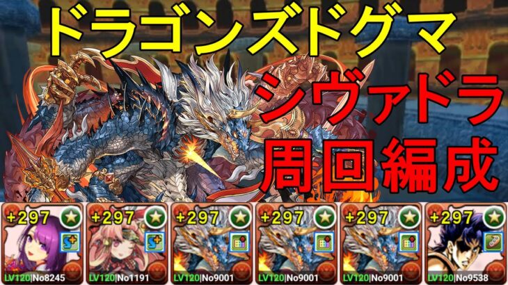 【ドラゴンズドグマ】正月カミムスビ✕ジョナサンのシヴァドラ編成で周回！！【パズドラ】