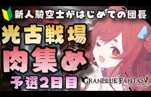 【グラブル】#19 新人騎空士が初めての光古戦場♡肉集め予選2日目！1万2000個目標！初見さん大歓迎！【寝衣火ゆん / Vtuber / グランブルーファンタジー】