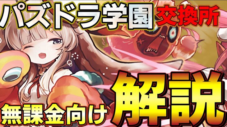 【パズドラ】学園交換所解説‼︎無課金向け超厳しめ評価‼︎交換推奨は2体‼︎【パズドラ実況】