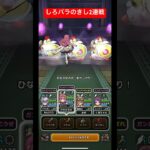 しろバラのきし2連戦！#ドラクエウォーク