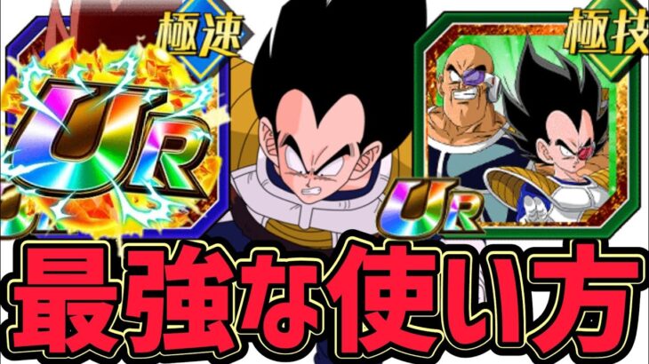 【ドッカンバトル】伝説降臨 ベジータ＆ナッパの最強な使い方！【DragonBallZDokkanBattle】