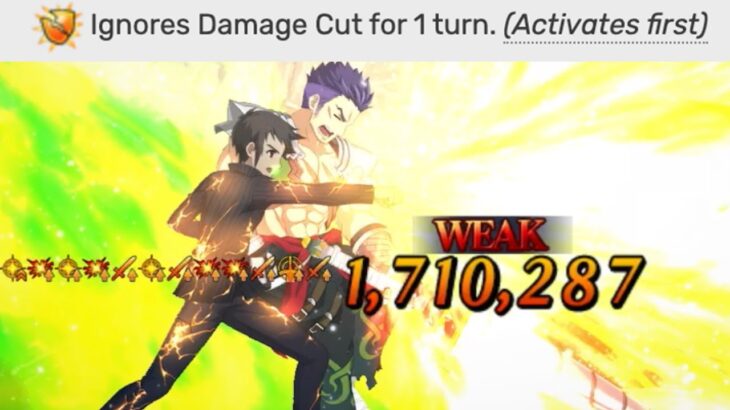 [FGO] “The ONLY servant that ignores damage cut”