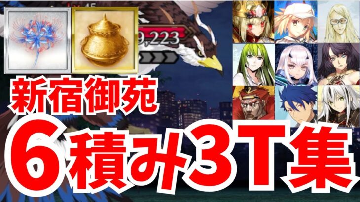 【FGO】奏章2素材を同時集め！フリクエ「新宿御苑」礼装6積み3ターン周回集：編成13パターン【不可逆廃棄孔 イド】