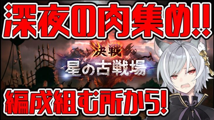 【グラブル】古戦場配信した事あったっけ？　深夜の肉集め　眠くなるまで【GBF】