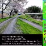 【ドラクウォークLive】宝の地図アップデートとこだま千本桜を見にお散歩【ニコ生同時配信】