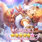 [プリコネR] [Princess Connect Re:Dive] Unlock 6 Star New Year Hiyori