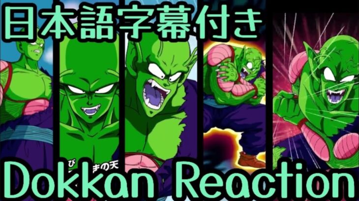 ドッカンバトル UR 天下一魔ジュニア リアクション Dokkan UR Tenkaich Majunior Reaction