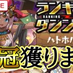 【パズドラ】ランキングダンジョンハトホル杯で0.1%目指す！【雑談】