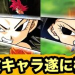 【ドッカンバトル】現代の異能‼︎技カリフラ姉さん遂に極限くる！【Dragon Ball Z Dokkan Battle】