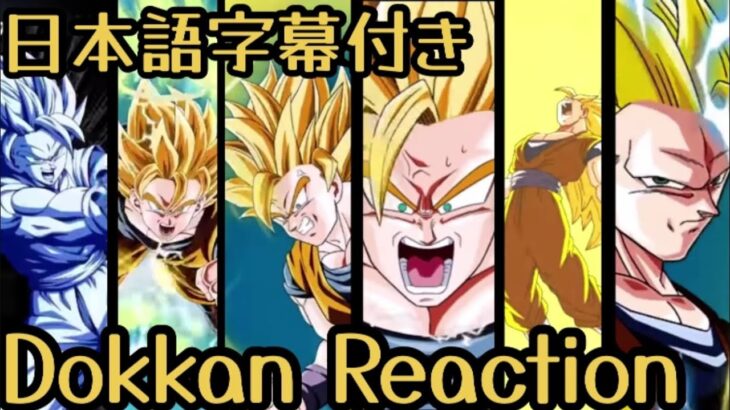 ドッカンバトル UR  SSJ3悟空 リアクション Dokkan UR SSJ3 Goku Reaction