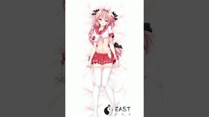 Unboxing & Review: Astolfo Fate Grand Order Body Pillow – Must-Have for FGO Fans!