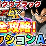 VSゴクウブラック激闘必至ミッションA~E完全攻略！【ドッカンバトル】 Dragon Ball Z Dokkan Battle