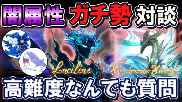 🔴【ガチ勢対談】闇属性高難度悩んでいる方必見！　somedyさんゲストでスパルシ・天元なんでも質問ライブ【グラブル】